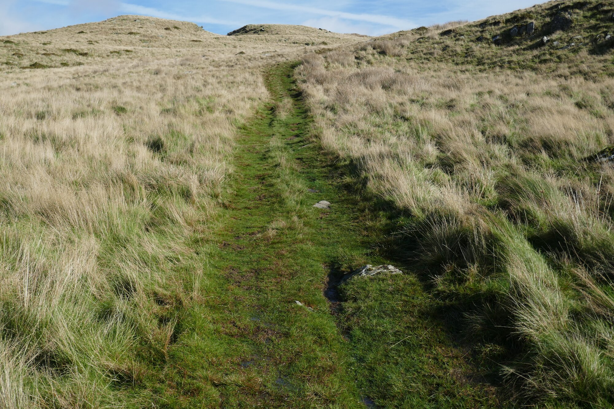 RachelSeabrook.net | Wild Walking | Teifi Pools | pic10